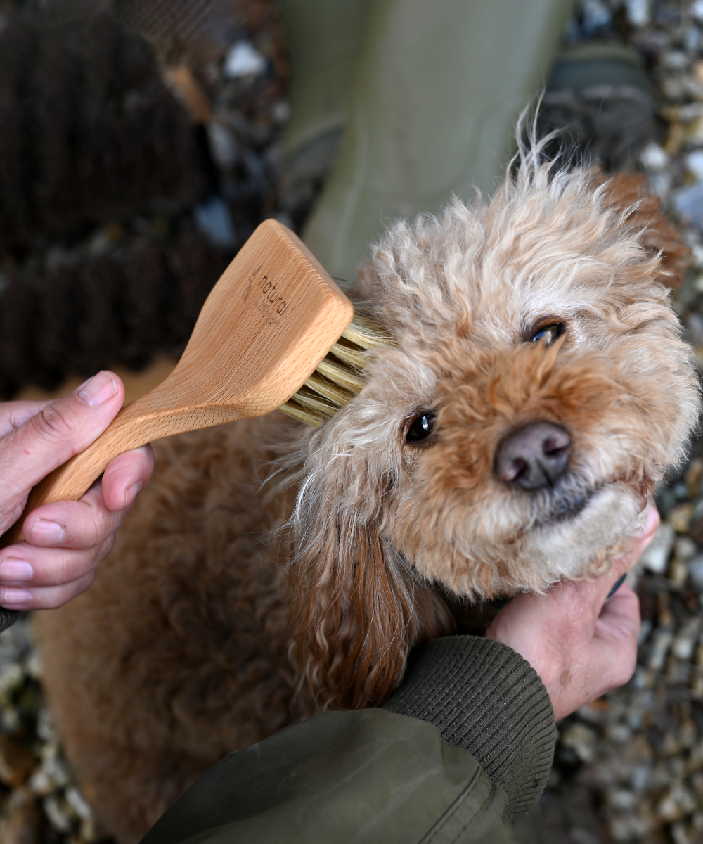 Pet Grooming Brushes & Care
