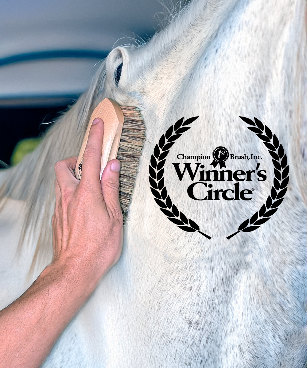 7 ½'' Champion Brush Winner’s Circle® Stiff Union Fibre Dandy Brush