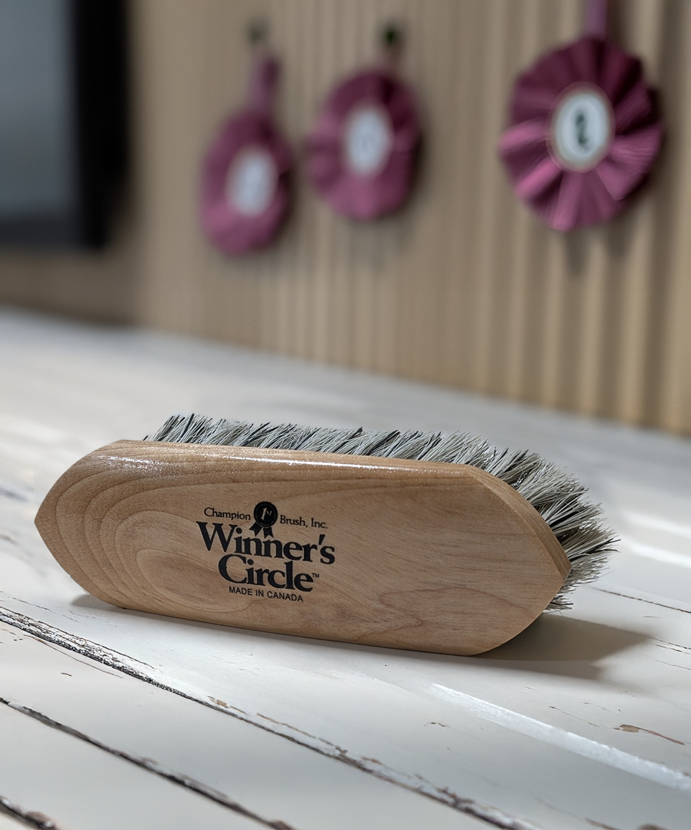 8 ¼'' Champion Brush Winner’s Circle® Stiff Grey English Fibre Dandy Brush