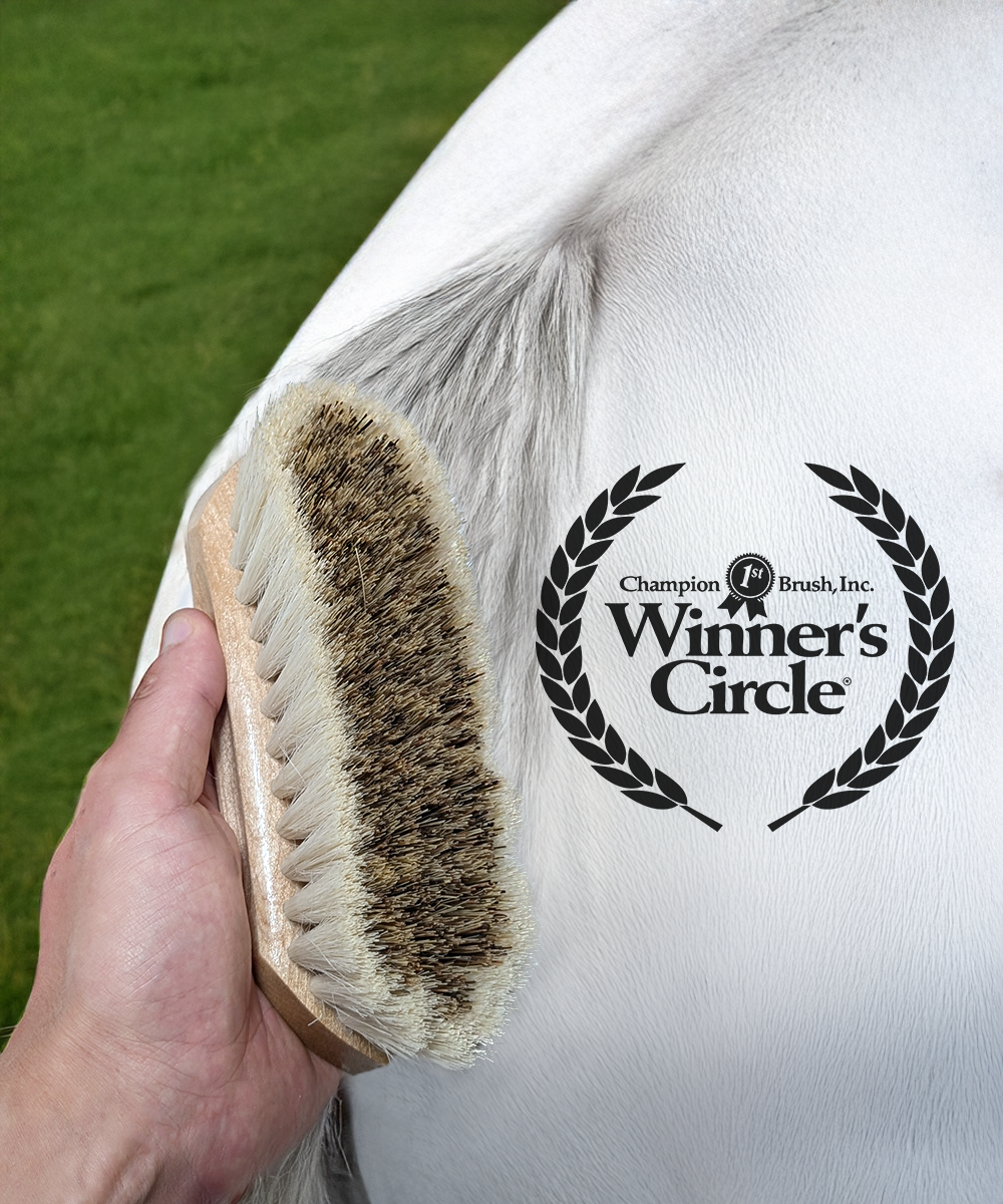 8 ¼'' Champion Brush Winner’s Circle® Medium Stiff Union Fibre & Tampico Blend Dandy Brush