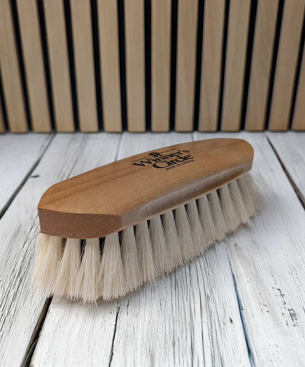 8 ¼'' Champion Brush Winner’s Circle® Medium Stiff Union Fibre & Tampico Blend Dandy Brush