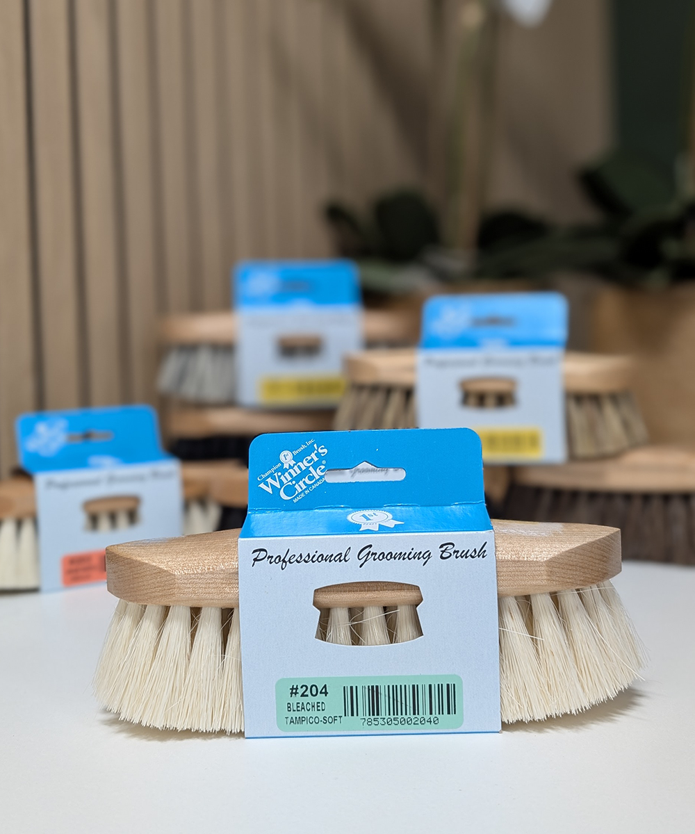 8 ¼'' Champion Brush Winner’s Circle® Soft Tampico Dandy Brush