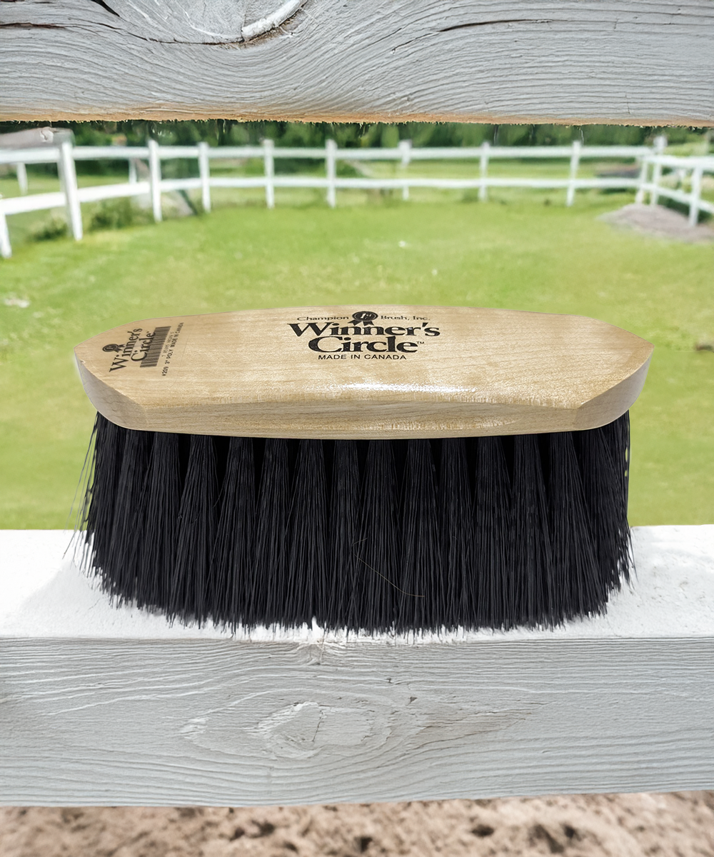 8 ¼'' Champion Brush Winner’s Circle® Flick Brush – Polypropylene - Black