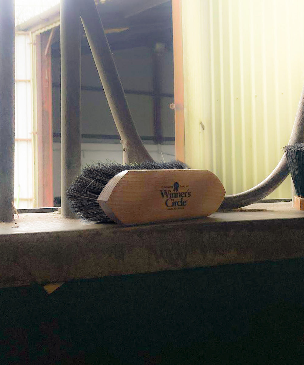 7 ½'' Champion Brush Winner’s Circle® Ultra-Soft Horsehair Finishing Brush