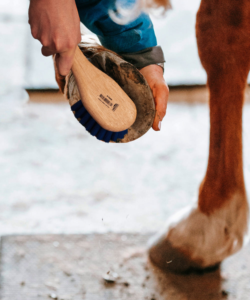 Traditional Wooden Bucket & Hoof Brush - Medium Stiff