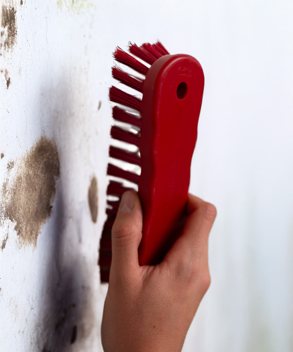 Everyday Hand Scrub Brush - Red (Stiff)