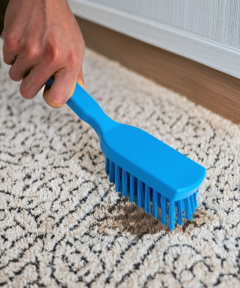 Everyday Utility Scrub Brush - Blue (Stiff)