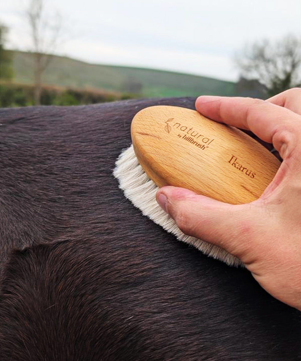 Natural by Hillbrush Goat Hair Finish & Shine Grooming Brush – Ultra Soft