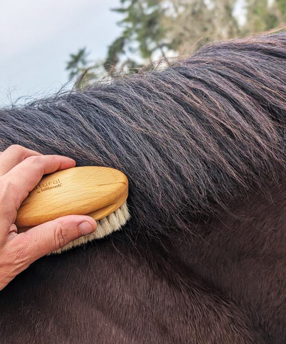 Natural by Hillbrush Goat Hair Finish & Shine Grooming Brush – Ultra Soft