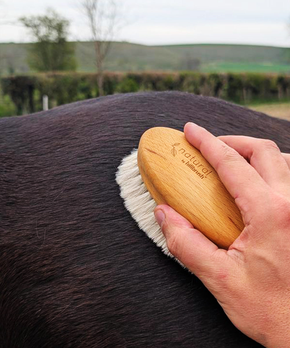 Natural by Hillbrush Goat Hair Finish & Shine Grooming Brush – Ultra Soft