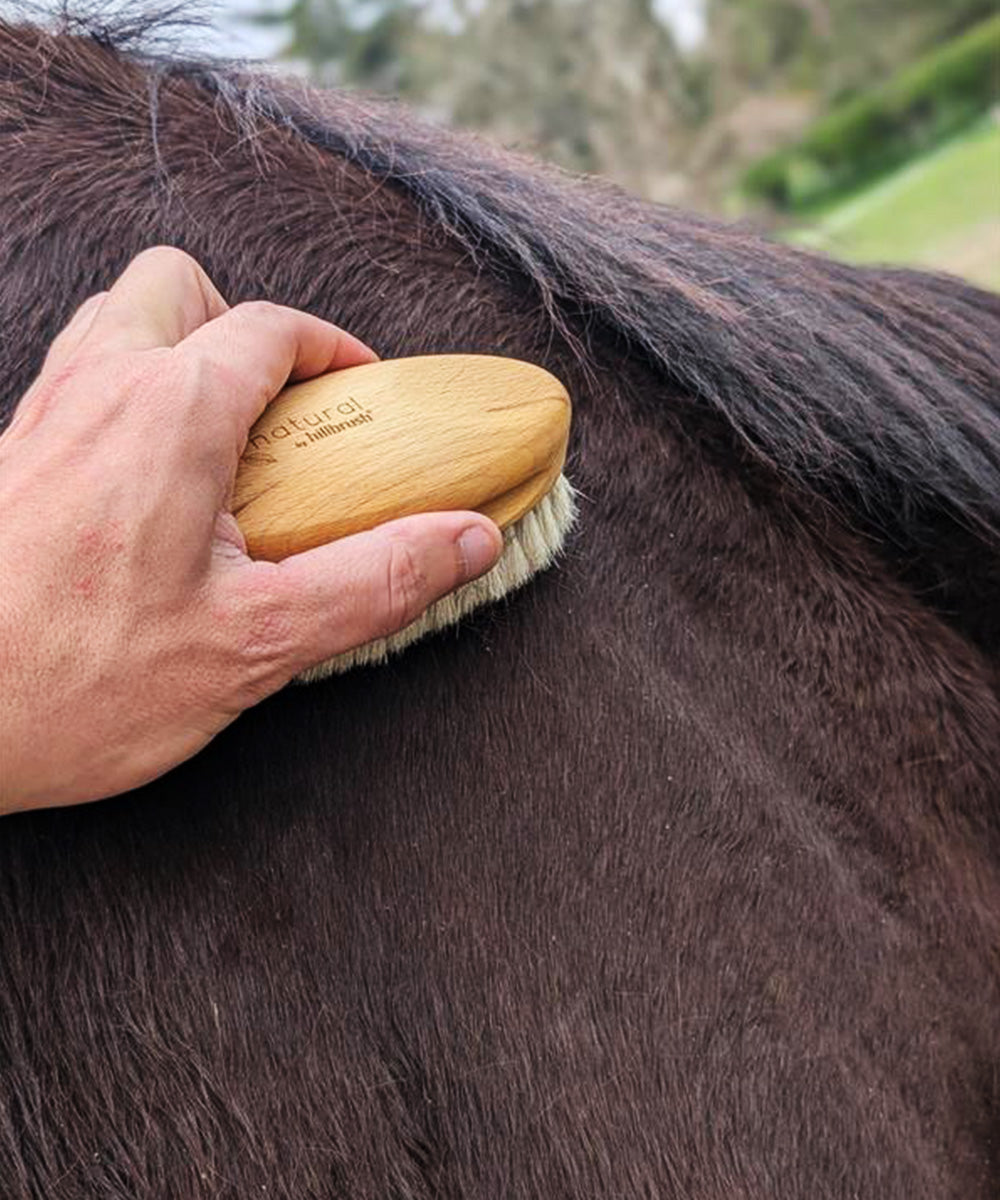 Natural by Hillbrush Goat Hair Finish & Shine Grooming Brush – Ultra Soft