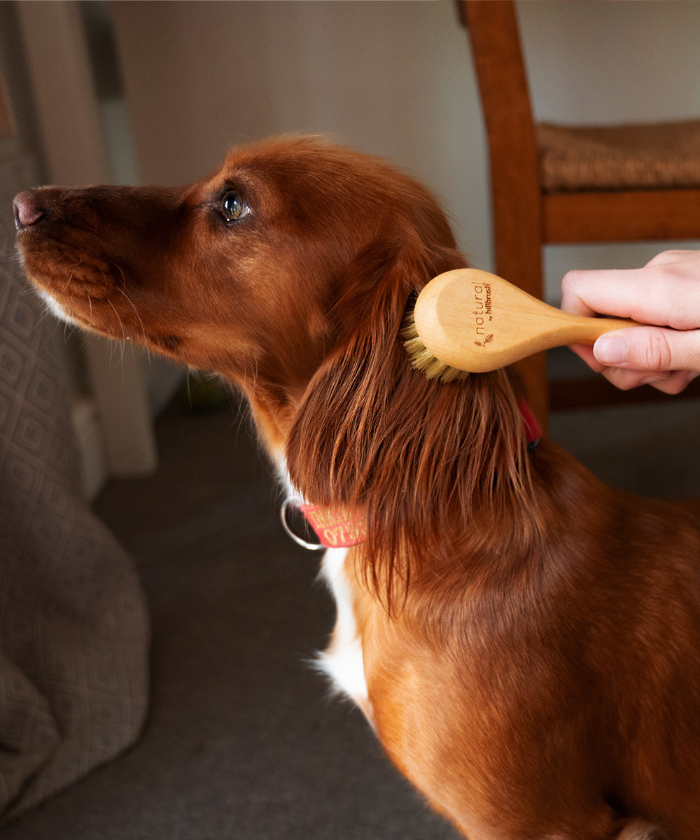 Natural by Hillbrush Pet Grooming Brush - Soft