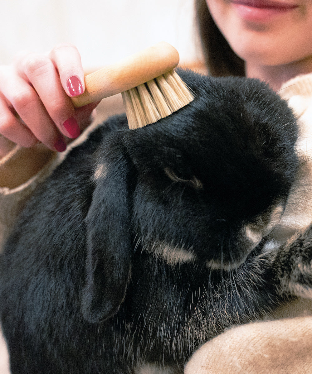 Natural by Hillbrush Pet Grooming Brush - Soft