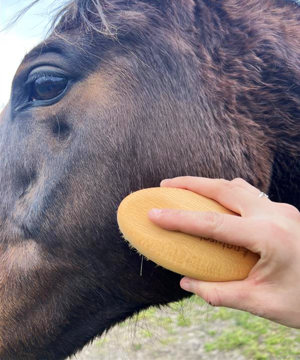 Natural by Hillbrush Equestrian Grooming Brush Set