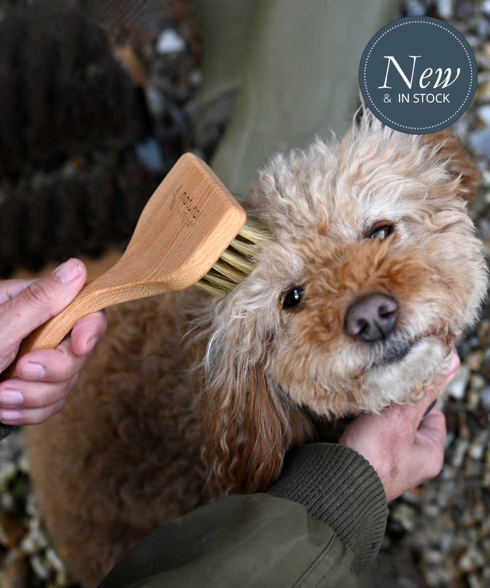 Natural by Hillbrush Angled Pet Grooming Brush - Soft
