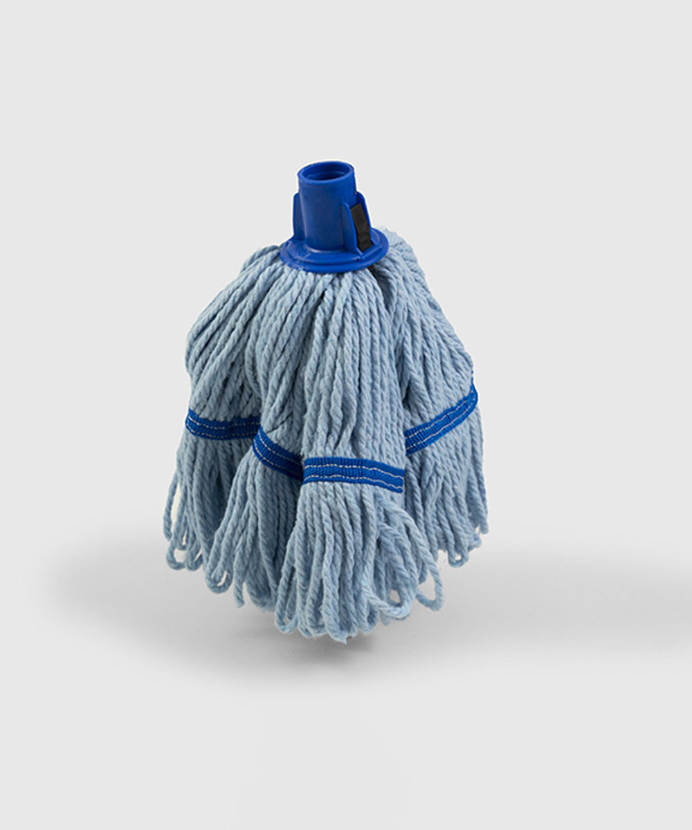 Anti-bacterial Biofresh Mop - 200g – The Brush & Broom