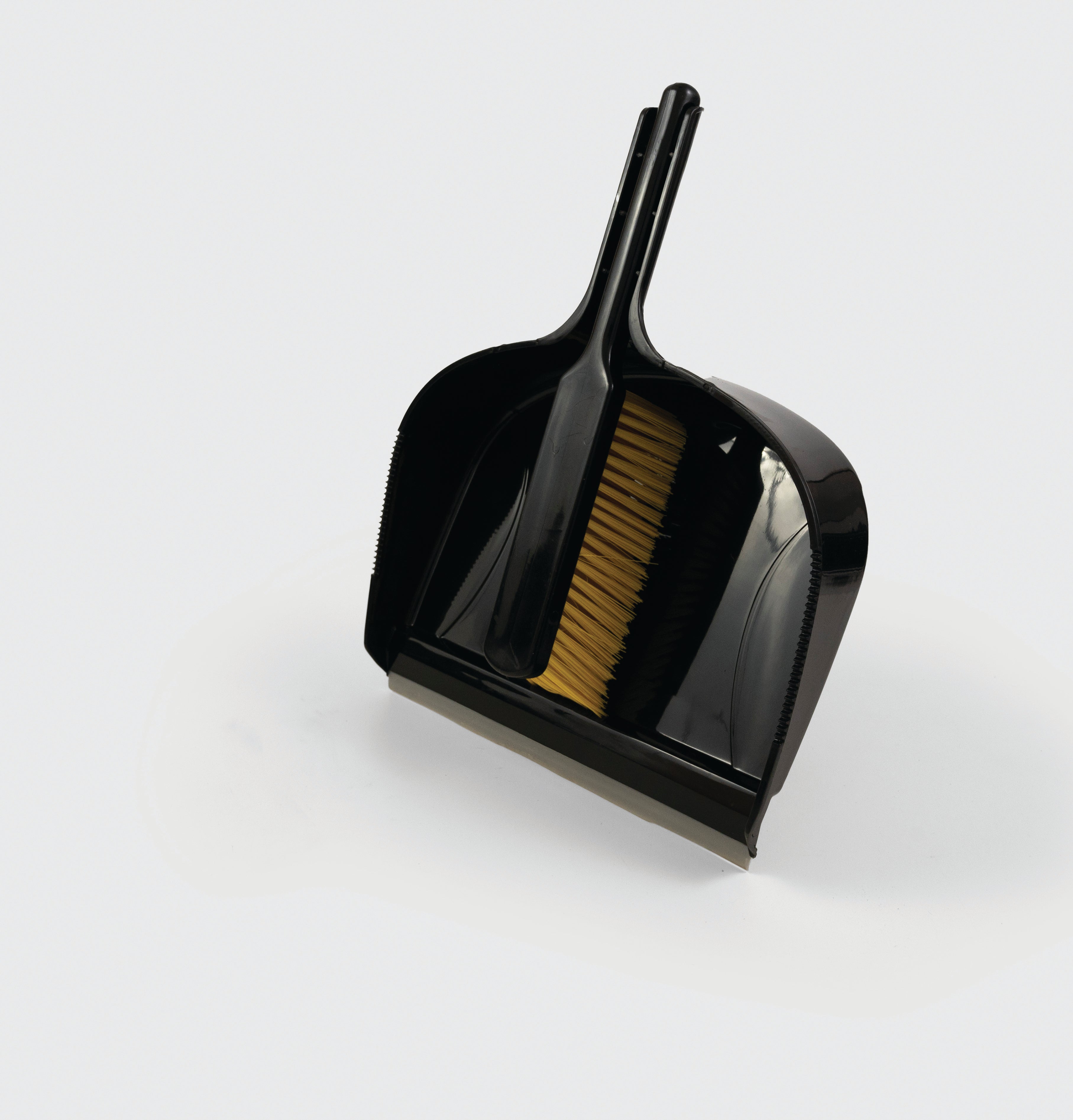 Heavy-duty Dustpan & Brush Set (Stiff)