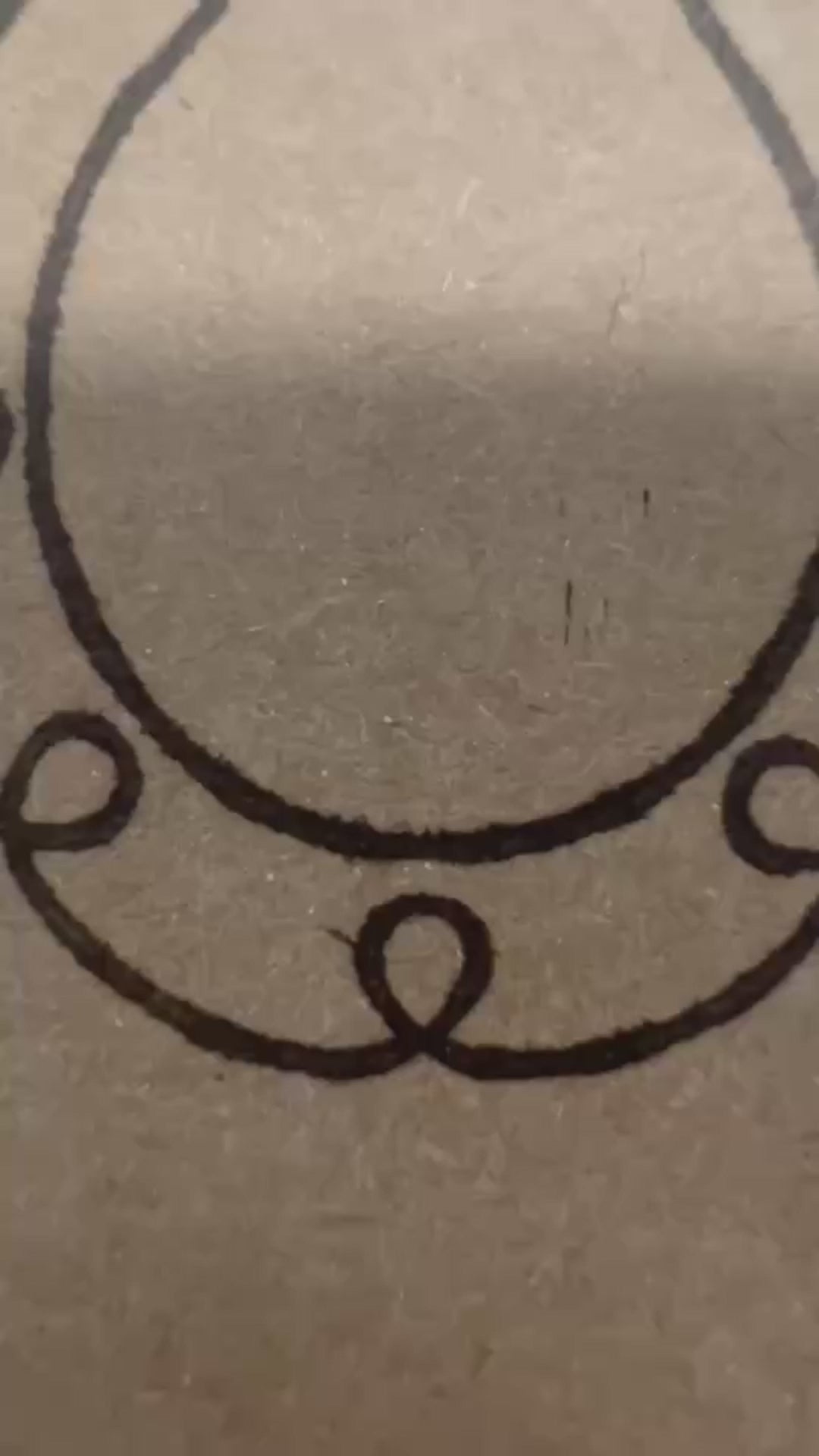 Natural by Hillbrush Equestrian Grooming Brush Set